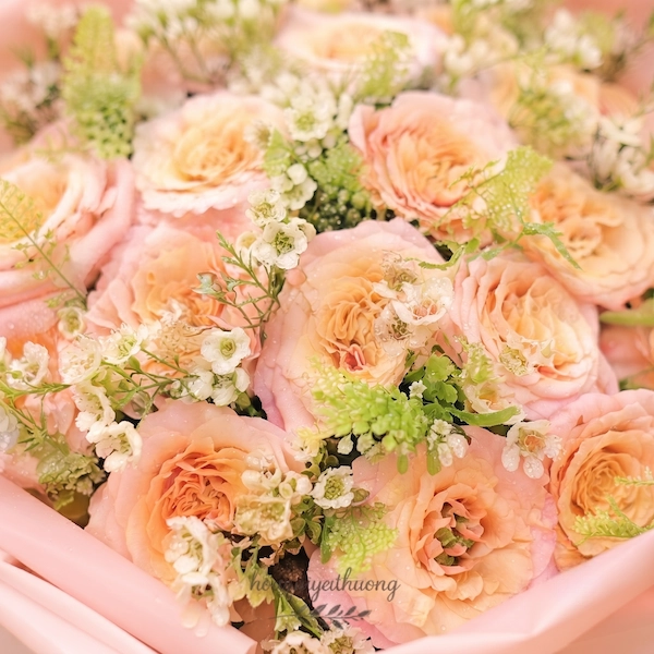 Lắng Nhẹ Yêu Thương - HGYT047 - Ảnh 2