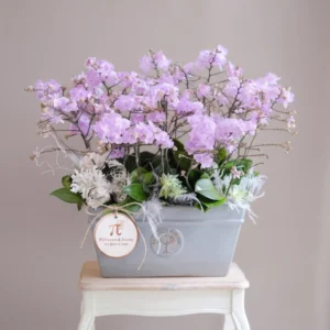 Chậu hoa lan hồ điệp Hồng Ngọc Sương Mai làm quà tặng sếp nam nữ cá tính tại Pi Flowers & Events