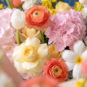 Cận cảnh hoa mao lương cam, tulip trắng và cẩm tú cầu hồng trong bó hoa chúc mừng.